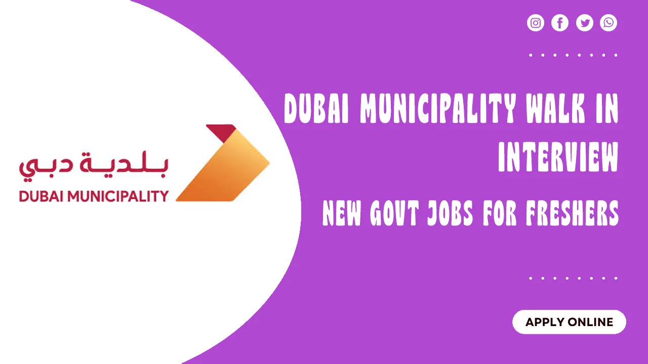 Dubai Municipality Walk in interview